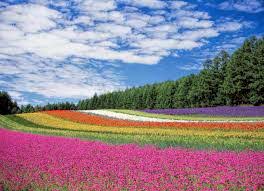 Equal Human Rights Will Build “Heaven on Earth”
